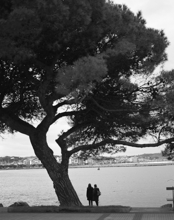 IMG_0927photo-2-scaled